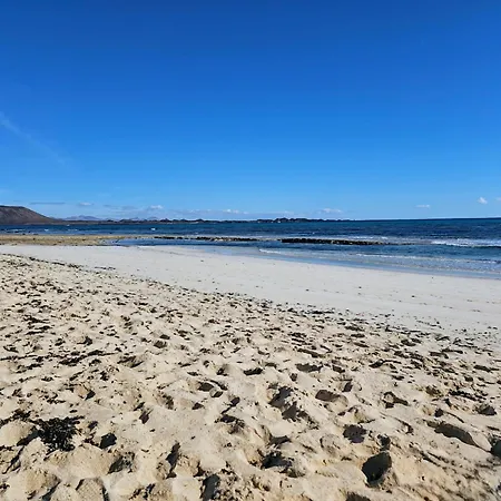 Land Of Gavias * Tetir